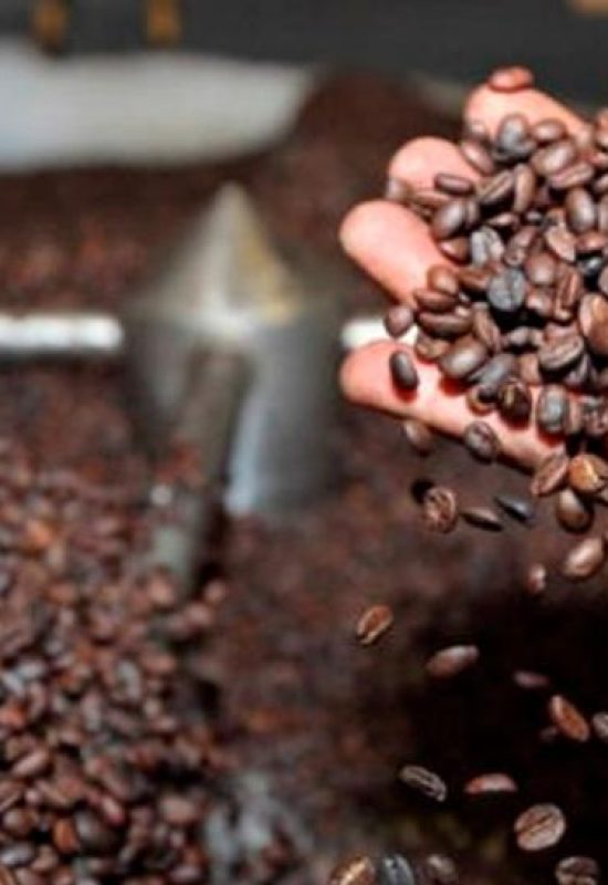 Café boliviano gana terreno en el mercado internacional: EE.UU, Bélgica y Francia lideran la demanda